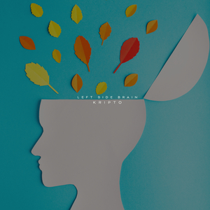 Left Side Brain