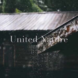 Peaceful Droplets (Rain)