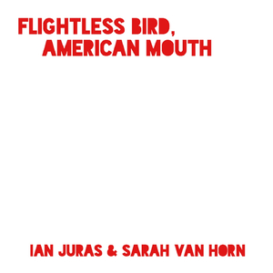 Flightless Bird, American Mouth