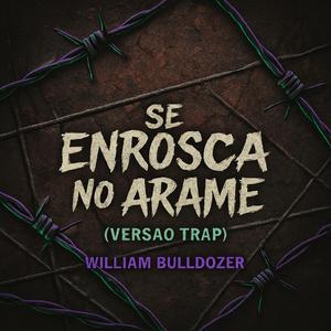 Se Enrosca no Arame (Versão Trap) (Special Version)