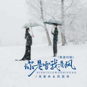 你是雪我是风 (DJ京仔粤语对唱版)