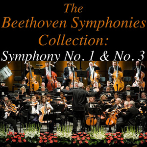 Symphony No. 1 in C Major, Op. 21: Adagio molto, Allegro con brio