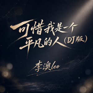 可惜我是一个平凡的人(DJ版)