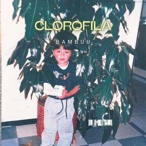 CLOROFILA