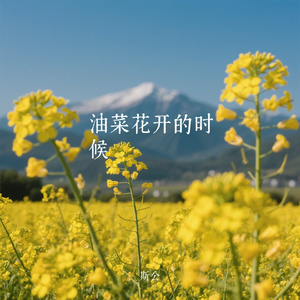 油菜花开的时候