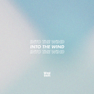 Into The Wind