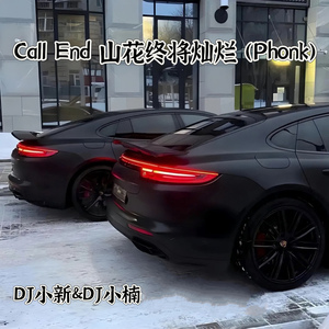 Call End山花终将灿烂 (Phonk)