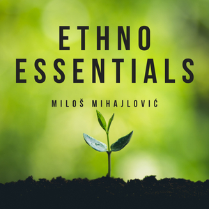 Zapevala Sojka Ptica