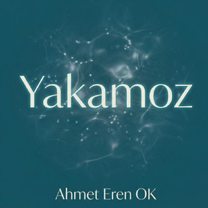Yolculuk