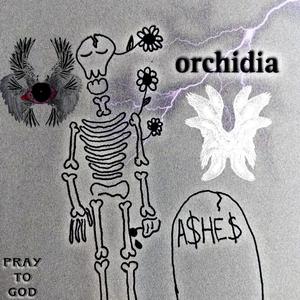 orchidia (feat. cvs)