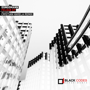 SERVAL (Cristian Varela REMIX)