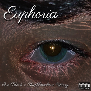 Euphoria