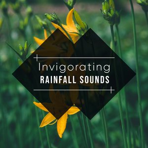 Rain Sound: Relaxation
