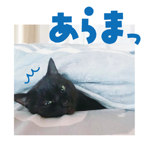 紫陽花の喫茶店