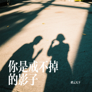 你是戒不掉的影子