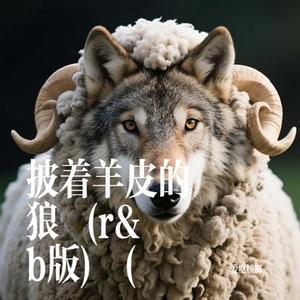 披着羊皮的狼  (r&b版)  ( (Cover 林沐沐)