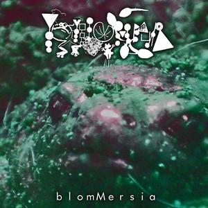 Return To Blommersia