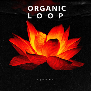 Wandering Soul (Original Mix)