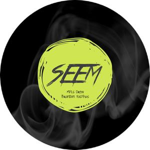 Seem (feat. Brandon Pulphus)