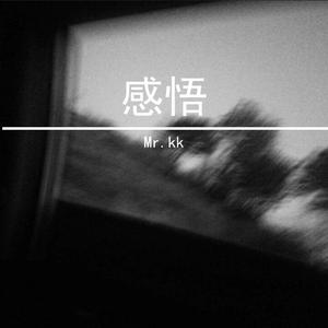 朴树-感悟（Mr.kk remix）