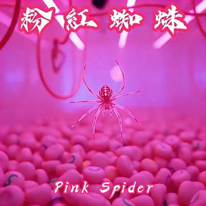 粉紅蜘蛛 (Live)
