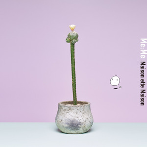 アディクションユース