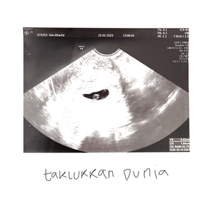 Taklukkan Dunia