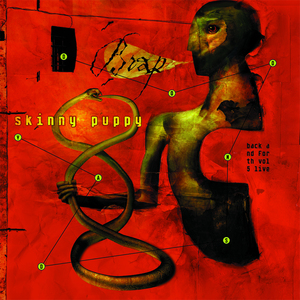 Deep Down Trauma Hounds (Live)