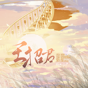 王招君