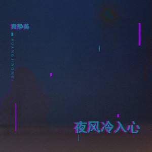 夜风冷入心 (DJ刘超版)