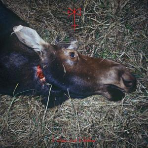 Peut-être, surement pas (Remix)