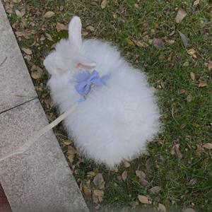 你在看孤独的风景