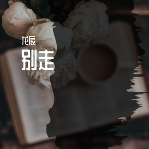 别走