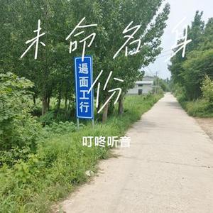 未命名身份 (Cover 凑合听吧)