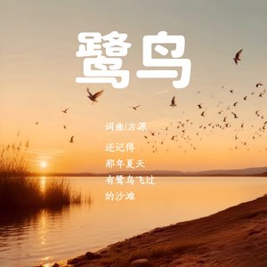 鹭鸟