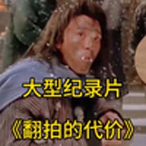 大型纪录片《翻拍的代价》