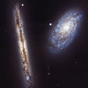 星空与夜皆属于你