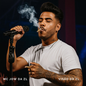 Visão da ZL