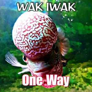 One Way