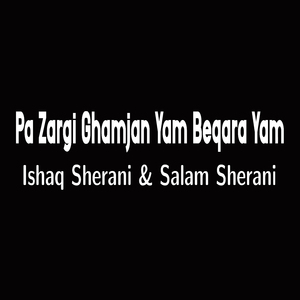 Pa Zargi Ghamjan Yam Beqara Yam
