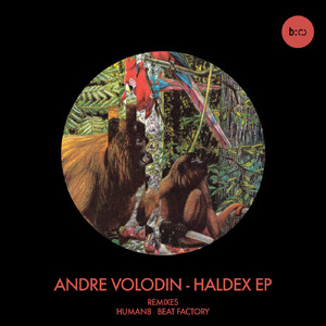 Haldex (Beat Factory Remix)