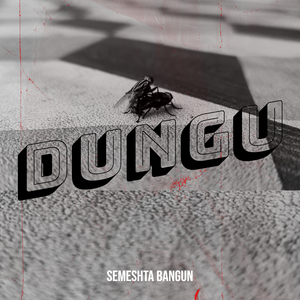 Dungu
