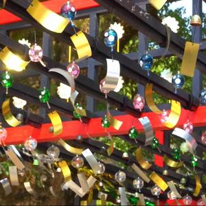 I Could Die For You But Wouldn't Live For You