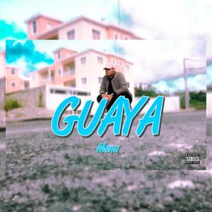 Guaya