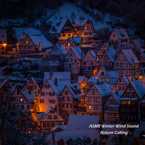 ASMR 겨울바람소리