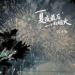 颜人中-夏夜最后的烟火（DJ小安）