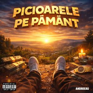 PICIOARELE PE PĂMÂNT