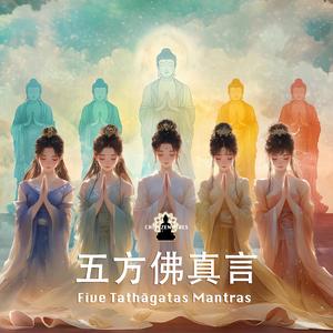 Amoghasiddhi Buddha Vajra-dhātu Mantras 不空成就如來金剛界真言