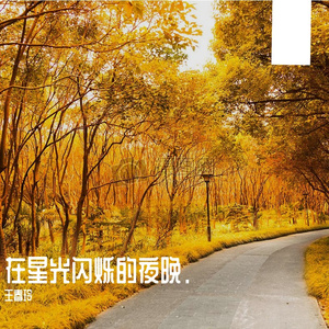 在星光闪烁的夜晚Prod.費奈爾蘭德