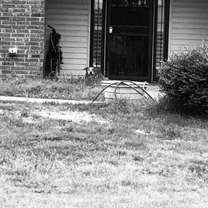 We Don't **** With Them